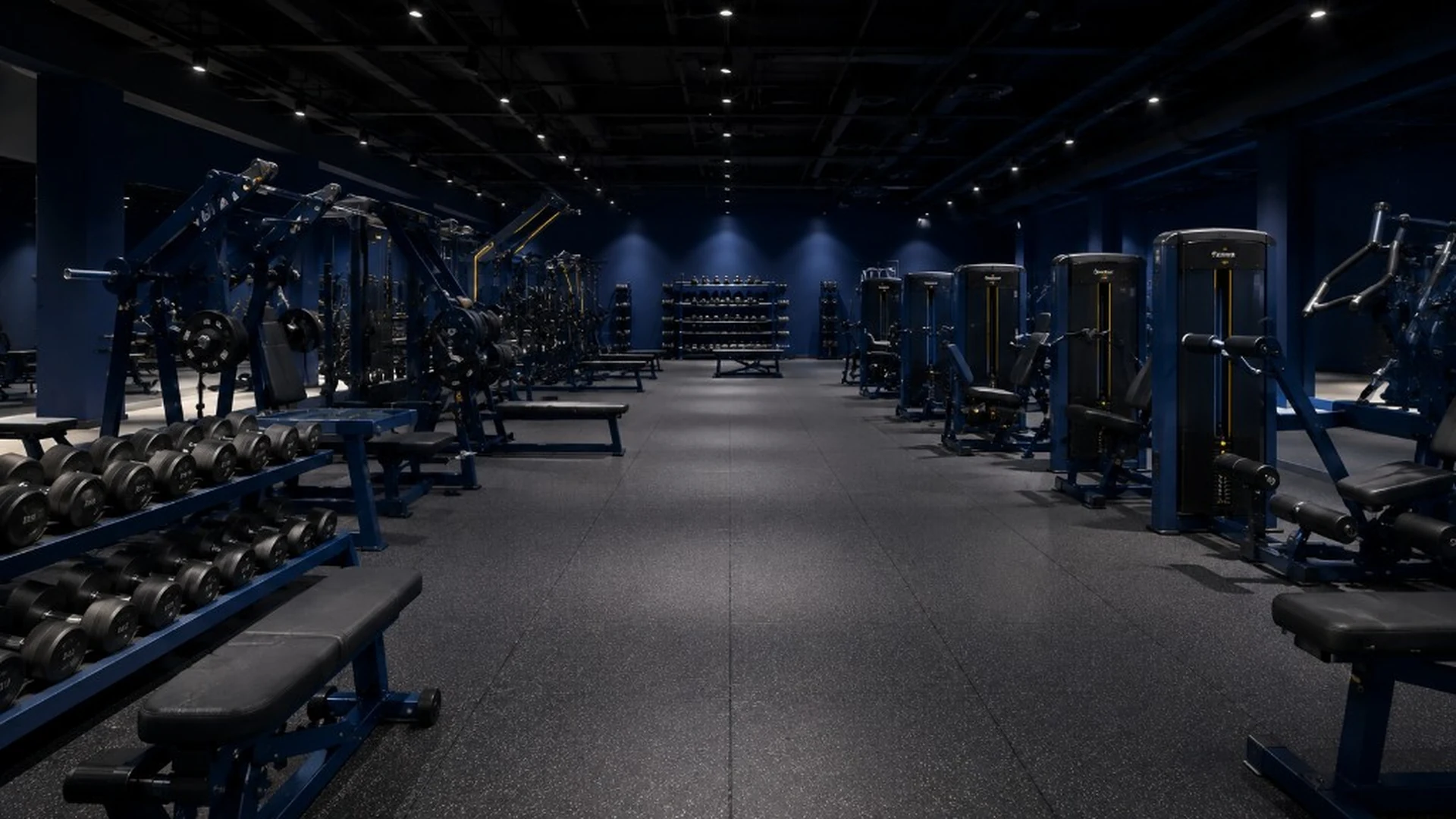 Premium fitness club with professional strength machines